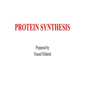 Protein synthsis 