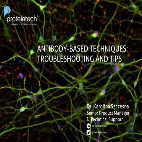 Antibody Based Techniques Masterclass by Proteintech