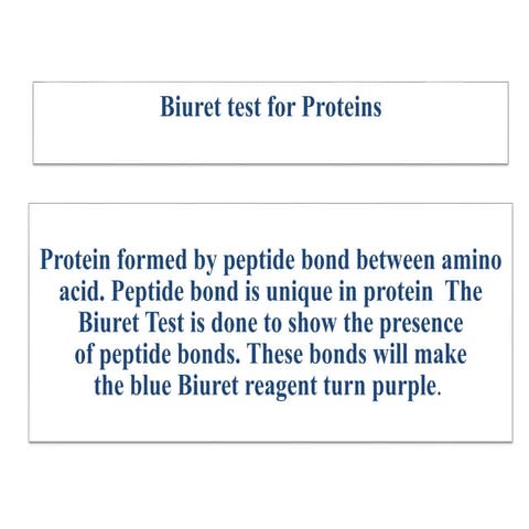 Protein test 