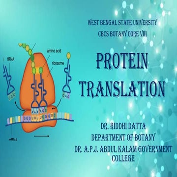 Basics of Protein Translation