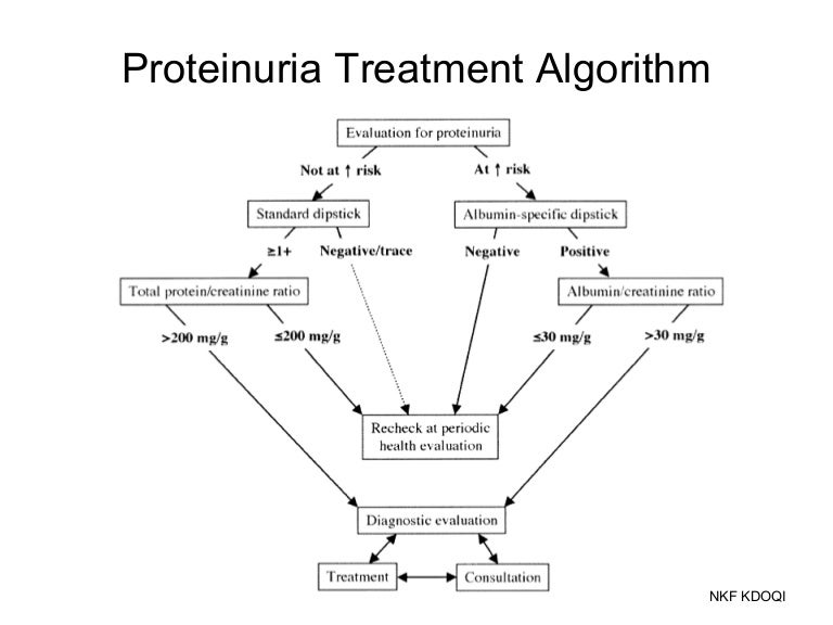Proteinuria treatment algorithm
