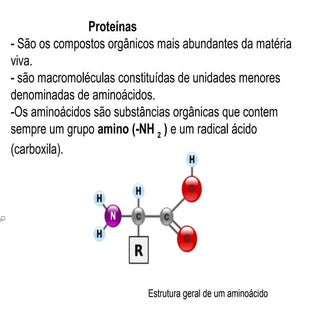 Proteínas - Biologia