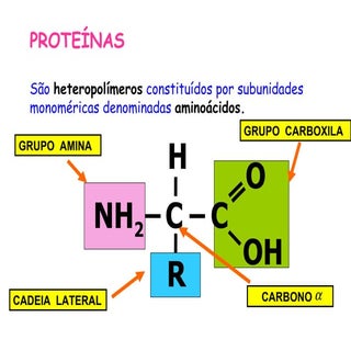 Proteinas
