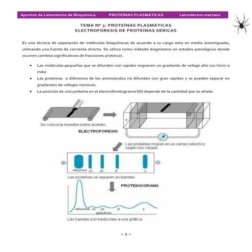 Proteínas plasmáticas. electroforesis de proteínas séricas