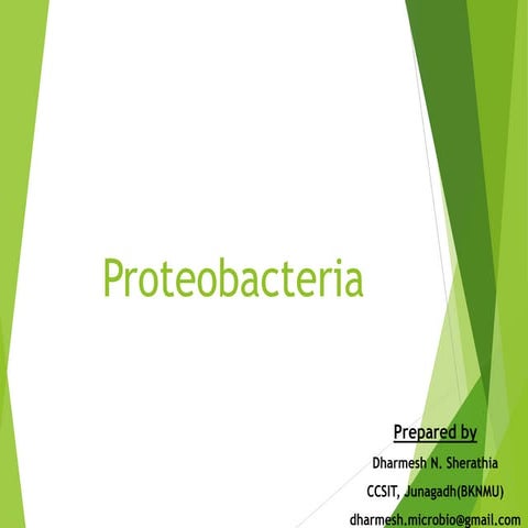 Proteobacteria