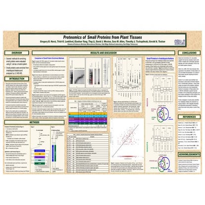 Proteomics of small proteins from plant tissues