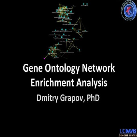 Gene Ontology Network Enrichment Analysis