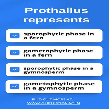 Prothallus represents.pdf Gurukripa Academy | PDF