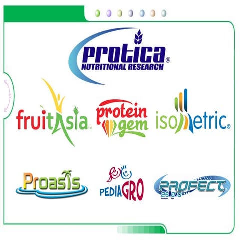 Protica presentation | PDF