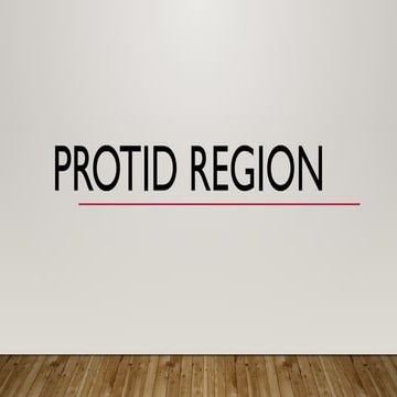 PROTID REGION LOCATION AND BOUNDRIES OF THE PAROTID REGION | PPTX