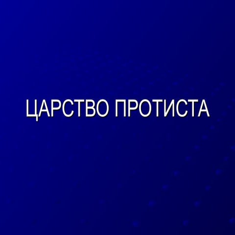 Protista 101208023905-phpapp02 | PPT