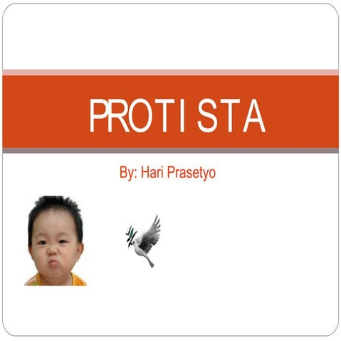 Protista