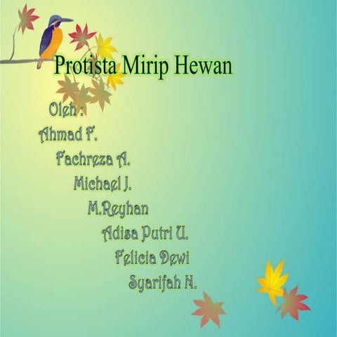 Protista Mirip Hewan