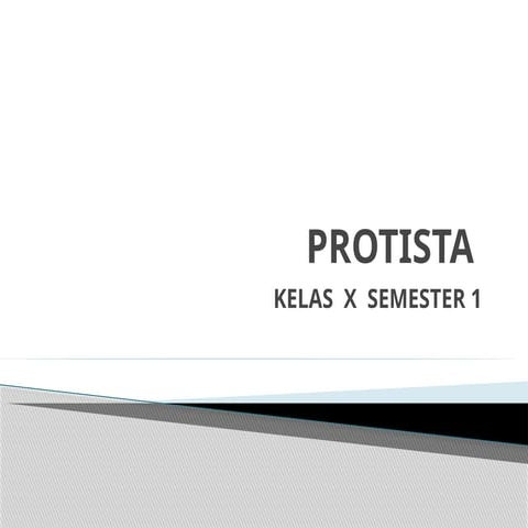 MATERI BIOLOGI KINGDOM PROTISTA KELAS X.pptx