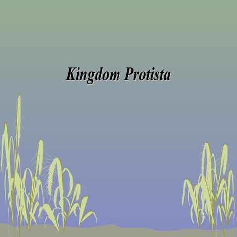 Protista introduction