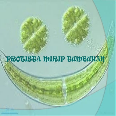 PROTISTA MIRIP TUMBUHAN.pptxnkjoijmkmnijide | PPTX