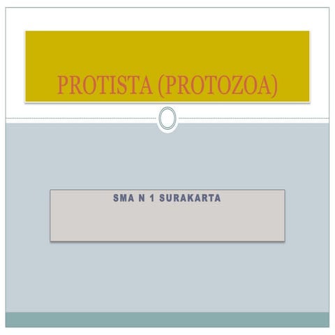 Protista Protozoa