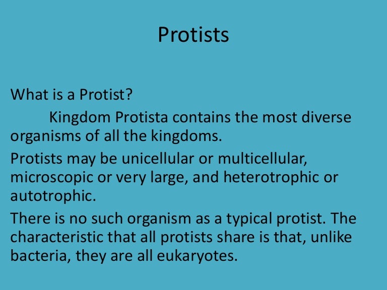 Protists Protists