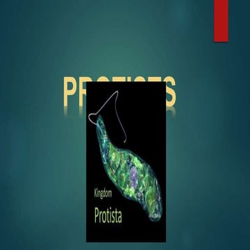 Protists
