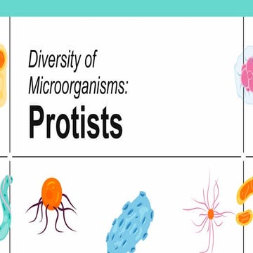 Protists Porpeorpeldbdpeororjrepeooo.pdf