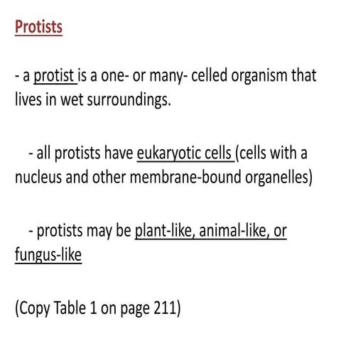 Protists   science grade 7