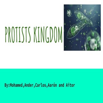 Protists kingdom
