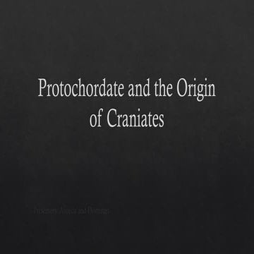 Protochordate-and-the-Origin-of-Craniates.pptx