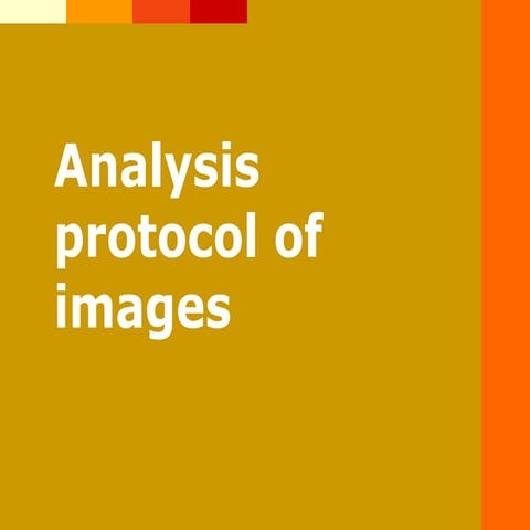 how to analyse images