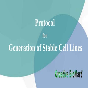 The Protocol for the Generation of Stable Cell Lines