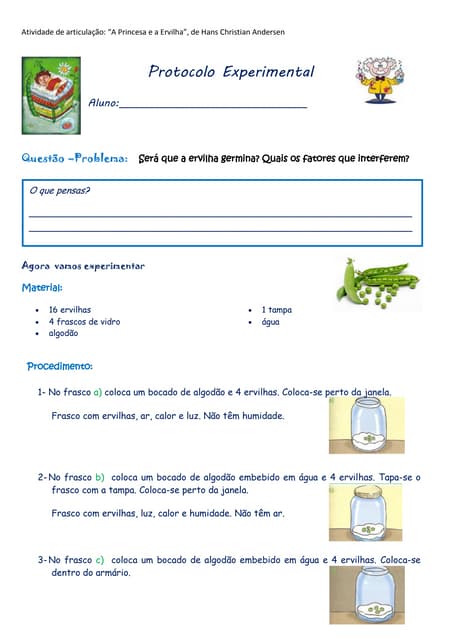 Protocolo experimental a princesa e...