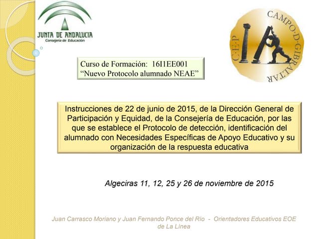 Protocolo  NEAE (ANDALUCÍA)