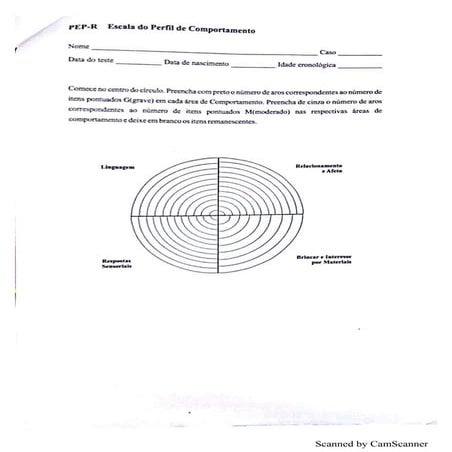 Protocolo resposta pep r