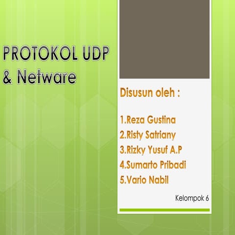 Protokol UDP & Netware