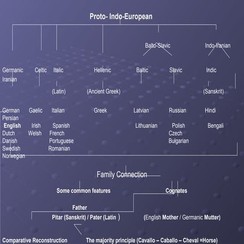 Proto (map)