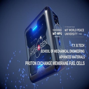 Proton exchange membrane fuel cells 