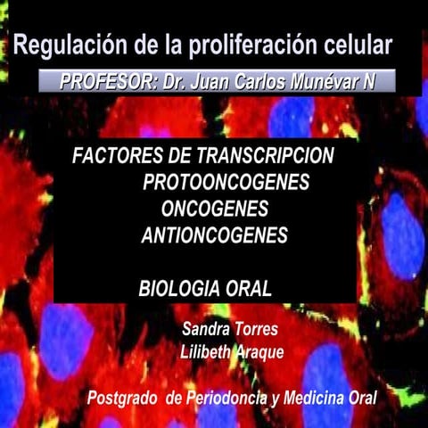 Regulación de la proliferación celular: Protooncogenes