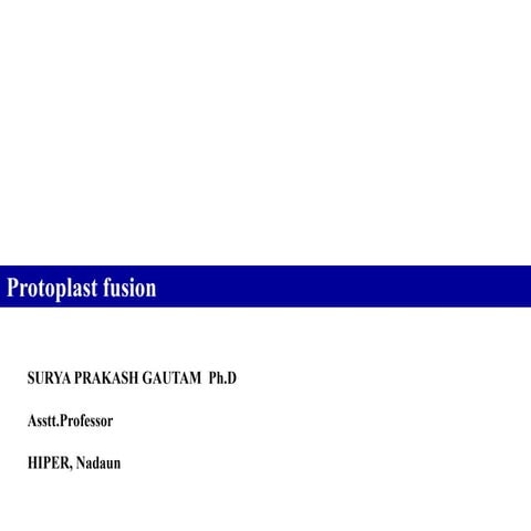 Protoplast fusion