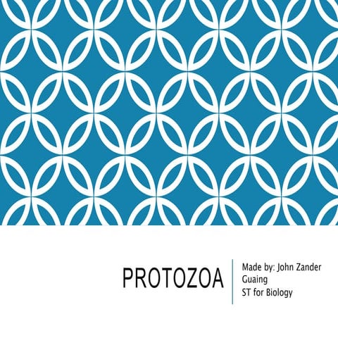 Protozoa