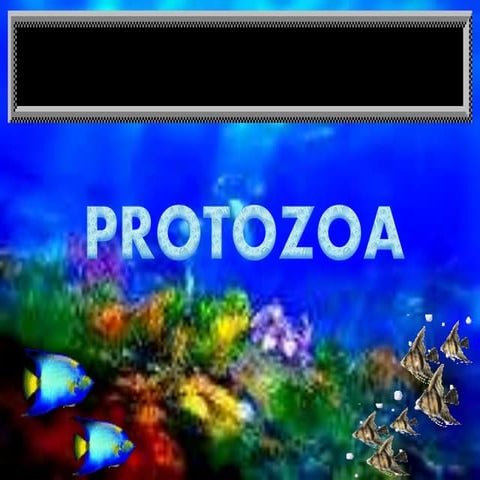 Protozoa