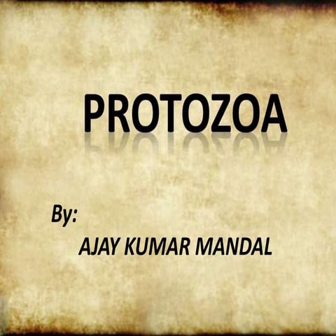 Protozoa