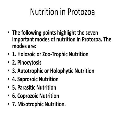 Protozoa.pptx
