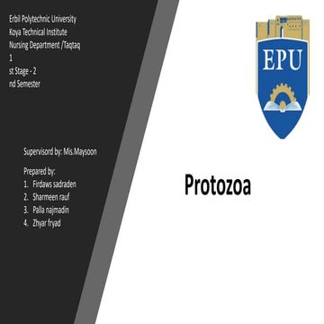 protozoa.pptx