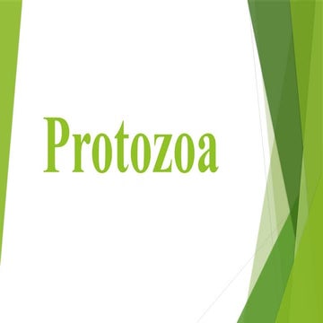 Introduction of protozoa and over view.pptx