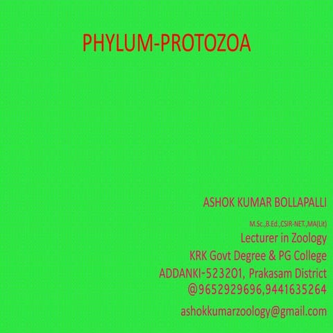 Protozoa general characters