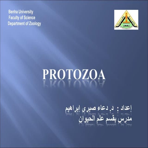 Protozoa 1