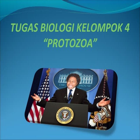 Protozoa Presentation