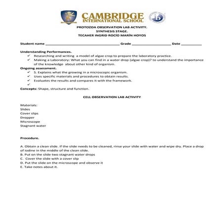 Protozoa lab sevenh grade