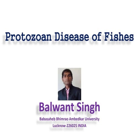 Protozoan disease of fishes