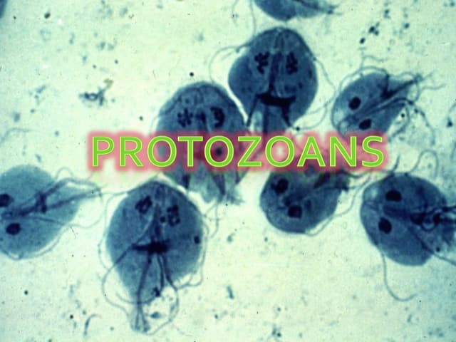Human Health and Disease | PPTX