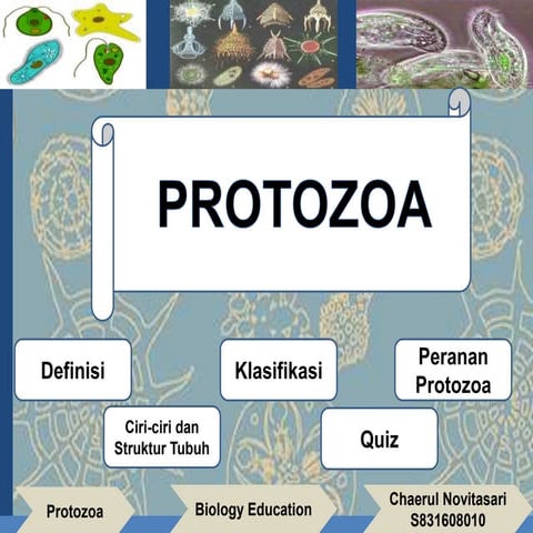 Protozoa PPT REVISI.pptx